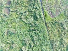 aerial view of land mapping by unmaned aerial vehicle in Bogor, Indonesia. photo