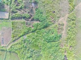 aéreo ver de tierra cartografía por desarmado aéreo vehículo en bogor, Indonesia. foto