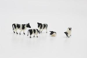 a close up of miniature figures of a herd of cows photo