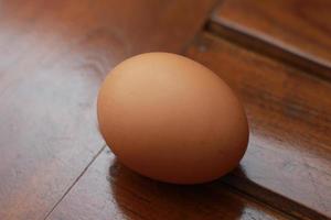 a close up of a chicken egg photo