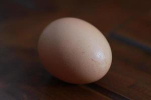 a close up of a chicken egg photo