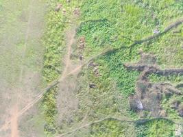 aéreo ver de tierra cartografía por desarmado aéreo vehículo en bogor, Indonesia. foto