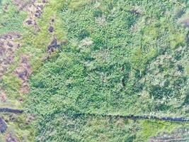 aerial view of land mapping by unmaned aerial vehicle in Bogor, Indonesia. photo