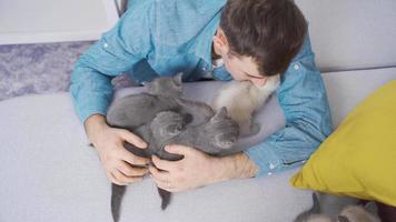 Cute kittens. Man hugging cute kitties. The man spends time with the kittens he keeps at home and loves them very much. video
