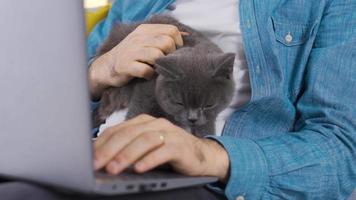 homem olhando às computador portátil com dele gato. a homem quem leva dele gato dentro dele colo rouba a partir de a computador portátil e dele gato é com ele. video