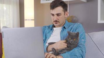 hombre trabajando en ordenador portátil a hogar y su gris gato mirando a ordenador portátil. el hombre quien toma su gato en su regazo roba desde el ordenador portátil y su gato es con a él. video