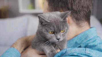 Man hugging his gray pet cat. The man hugs the cat he takes in his arms and is happy. video