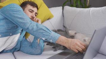 a homem e dele gatinhos estão assistindo filmes junto. jovem homem sentado em sofá às casa com gatos e assistindo alguma coisa em computador portátil. video