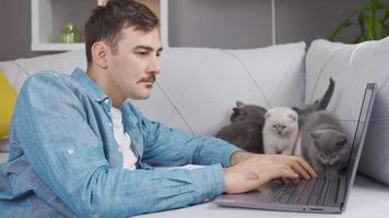 el hombre es molesto a capa pluvial con el gatitos el gatos de el hombre trabajando en el ordenador portátil hacer no dar él comodidad y el hombre sonrisas video