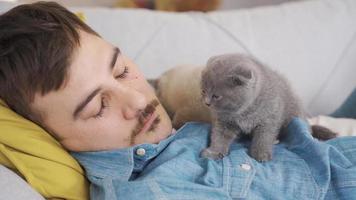 The cat loves its owner and is with him even when he is sleeping. The man is asleep and the kittens are next to him. video