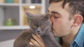 hombre besos y abrazando su gris gato. hombre Besos y abrazos gris británico gato. video