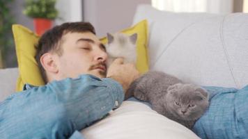 animal amoureux homme dort avec le sien chatons. le homme dort avec le sien chats. video