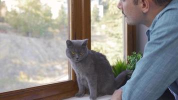 pensativo hombre mirando fuera el ventana. el gato y el hombre son acecho fuera el ventana. video