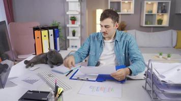 le chat est en train de regarder le homme travail dans le sien Accueil bureau. le homme est travail à le sien bureau et le sien chat est à la recherche après lui. video