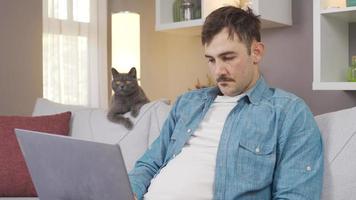 Man using laptop and gray cat looking at him. British Cat looks at its owner and watches him.