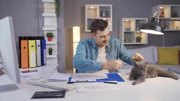 homme travail dans Accueil Bureau est avoir bien nouvelles et réjouissance avec le sien chat. le homme travail sur le ordinateur est content avec cette bien nouvelles, et il ajoute le sien chat à cette joie. video