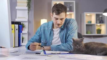 el gato es mirando a sus dueño, mirando. perezoso gato acostado en mesa y mirando a masculino propietario trabajando desde hogar. video