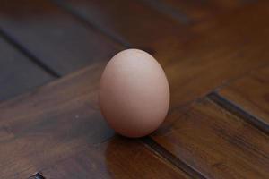 a close up of a chicken egg photo