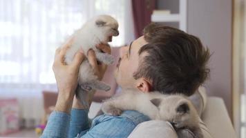 The animal lover man loves and owns kittens. The man who spends a pleasant time with the kittens at home is happy and loves his cats. video
