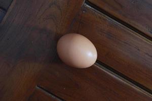 a close up of a chicken egg photo