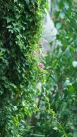 The rainy day view in the city with the wet road and rainy droplets down photo