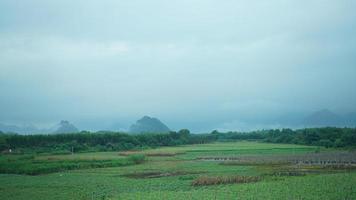 The beautiful countryside view from the runny train on the south of the China in the rainy day photo