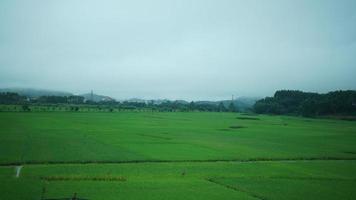 The beautiful countryside view from the runny train on the south of the China in the rainy day photo