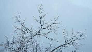 The beautiful frozen mountains view coverd by the white snow and ice in winter photo