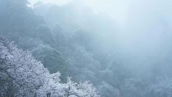 el hermosa congelado montañas ver cubierto por el blanco nieve y hielo en invierno foto