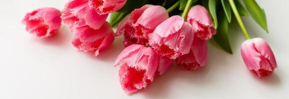 pink tulips lie on a white table photo