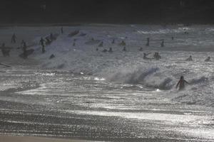 young athletes practising the water sport of surfing photo