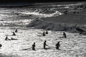 young athletes practising the water sport of surfing photo