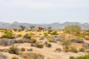 Scenic desert landscape photo