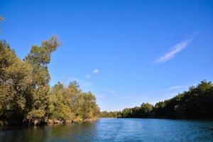 Trees along the river photo