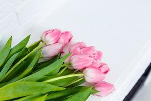 bouquet of pink tulips on a white background photo