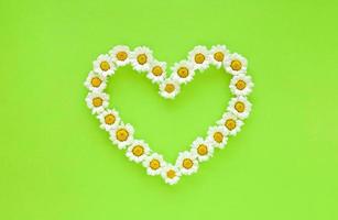 Daisies in the shape of heart on a bright light green background. Small white chrysanthemums look like chamomiles. Hello summer concept. Greeting card with place for text. photo