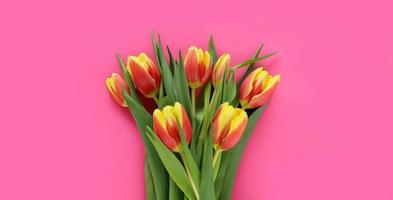 Banner with red-yellow tulips in center on pink background. Springtime concept. March 8 Women's Day. Mother's Day. Grandma Day. Happy Birthday. Easter.  Spring sales. Place for text. photo