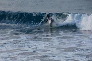 surfistas montando pequeño Oceano olas foto