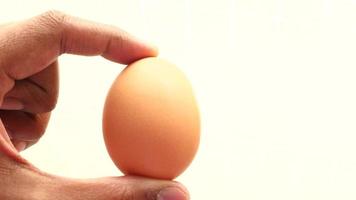 hand holding egg isolated on white video