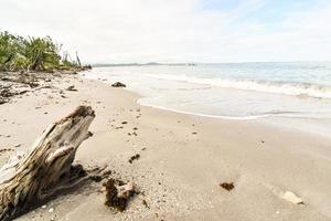 Scenic coastal view photo