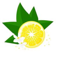 Lemon sliced with green leaf and flowers. For posters, logos, labels, banners, stickers, product packaging design, etc. Vector illustration