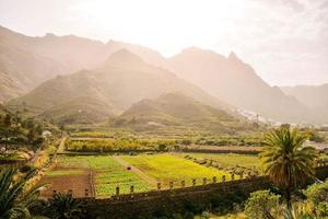 Landscape on Tenerife, Spain photo