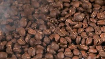 rallentatore di chicchi di caffè tostati che cadono. semi di caffè biologico. video