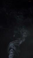 lento movimento verticale video di bianca Fumo, nebbia, nebbia, vapore su un' nero sfondo.