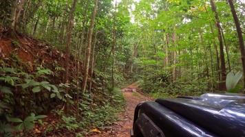 4x4 jeep inside rough terrain. Extreme soil road in the forest with lush vegetation. Mahe Seychelles video