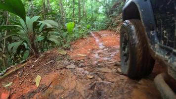 Low shot of jeep climbing rough terrain road inside the forest, closeup shot near the wheel. Mahe Seychelles video