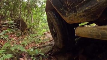 baixo ângulo tiro do debaixo passagem jipe dentro sujeira estrada dentro a floresta do seco folhas, vendo debaixo a jipe, mahe seychelles video