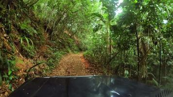 Driving in  rough terrain road, Extreme soil road in the forest with lush vegetation. Mahe Seychelles video