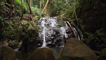 vattenfall inuti de skog, omgiven med enorm granit stenar och fallen träd. de endast sätt till nådde deras är förbi vandring video