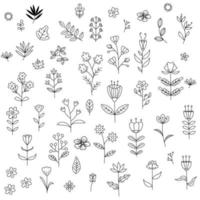 vector hand drawn collection of flowers